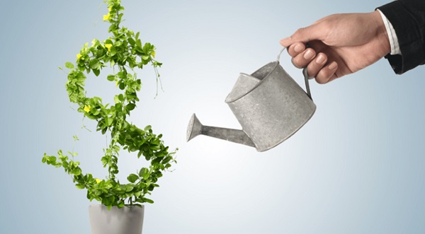 Faça Seu Dinheiro Render de Verdade: Guia Completo